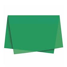 Papel Seda 48x60cmVd Bandeira Ref.4-219.7.27