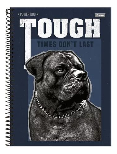 Caderno CD 160Fls 10Mat Power Dog Fsc